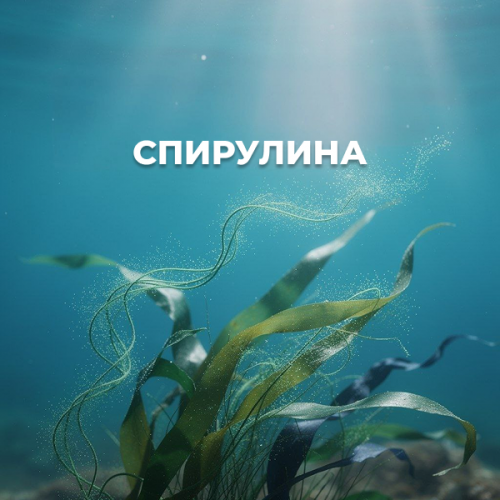 Спирулина